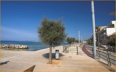 Helle und geräumige Wohnung nahe der Strandpromenade