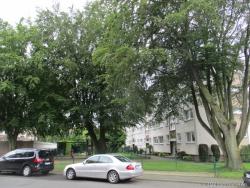 3-Zimmer Wohnung mit Balkon in Nettetal-Breyell. Erdgeschoss