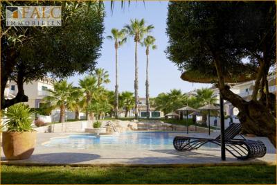 Wunderschönes Doppelhaus umgeben von einer Palmenoase (Alicante)